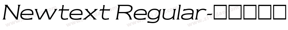 Newtext Regular字体转换